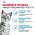 Royal Canin Indoor 7+ / Сухой корм Роял Канин Индор для Пожилых кошек старше 7 лет Живущих в помещении