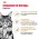 Royal Canin Breed cat Maine Coon / Сухой корм Роял Канин для Взрослых кошек породы Мэйн Кун старше 15 месяцев