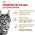 Royal Canin Breed cat Maine Coon / Сухой корм Роял Канин для Взрослых кошек породы Мэйн Кун старше 15 месяцев