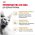 Royal Canin Breed cat Sphynx / Сухой корм Роял Канин для взрослых кошек породы Сфинкс страше 1 года