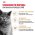 Royal Canin Breed cat British Shorthair / Сухой корм Роял Канин для Взрослых кошек породы Британская короткошерстная