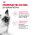 Royal Canin Kitten Instinctive / Влажный корм (Консервы-Паучи) Роял Канин Киттен Инстинктив для Котят в возрасте от 4 до 12 месяцев в Соусе (цена за упаковку)