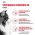 Royal Canin Instinctive Jelly / Влажный корм (Консервы-Паучи) Роял Канин Инстинктив для Взрослых кошек старше 1 года в Желе (цена за упаковку)