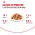 Royal Canin Ageing 12+ Jelly / Влажный корм (Консервы-Паучи) Роял Канин Эйжинг для Пожилых кошек старше 12 лет в Желе (цена за упаковку)