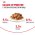 Royal Canin Digestive Care / Влажный корм (Консервы-Паучи) Роял Канин Дайджестив Кэа для кошек с Чувствительным пищеварением в Соусе (цена за упаковку)