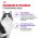 Royal Canin Sterilised Mousse Pate / Паучи Роял Канин Стерилайзд для взрослых кастрированных котов и Стерилизованных кошек Паштет (цена за упаковку)