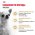 Royal Canin Breed dog Chihuahua Adult / Сухой корм Роял Канин для взрослых собак породы Чихуахуа старше 8 месяцев