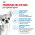 Royal Canin Breed dog Chihuahua Junior / Сухой корм Роял Канин для Щенков породы Чихуахуа в возрасте до 8 месяцев