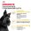 Royal Canin Mini Dermacomfort / Сухой корм Роял Канин Мини Дермакомфорт для собак Мелких пород с Кожным раздражением и зудом