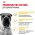 Royal Canin Medium Dermacomfort / Сухой корм Роял Канин Медиум Дермакомфорт для собак Средних пород с Кожным раздражением и зудом