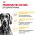 Royal Canin Maxi Dermacomfort / Сухой корм Роял Канин Макси Дермакомфорт для собак Крупных пород с Кожным раздражением и зудом
