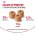 Royal Canin Breed dog Labrador Retriever Adult / Сухой корм Роял Канин для взрослых собак породы Лабрадор старше 15 месяцев