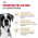 Royal Canin Breed dog Boxer Adult / Сухой корм Роял Канин для взрослых собак породы Боксер старше 15 месяцев