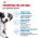 Royal Canin Medium Puppy / Сухой корм Роял Канин Медиум Паппи для Щенков Средних пород в возрасте от 2 до 12 месяцев