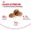 Royal Canin Medium Adult 7+ / Сухой корм Роял Канин Медиум для Пожилых собак Средних пород старше 7 лет