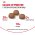 Royal Canin Maxi Digestive Care / Сухой корм Роял Канин Макси Дайджестив Кэа для собак Крупных пород с Чувствительным пищеварением