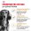 Royal Canin Breed dog Dachshund Adult / Сухой корм Роял Канин для взрослых собак породы Такса старше 10 месяцев