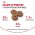 Royal Canin Maxi Starter / Сухой корм Роял Канин Макси Стартер для Щенков Крупных пород до 2 месяцев