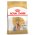 Royal Canin Breed dog Yorkshire Terrier Adult / Сухой корм Роял Канин для взрослых собак породы Йоркширский Терьер старше 10 месяцев