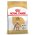 Royal Canin Breed dog Poodle Adult / Сухой корм Роял Канин для взрослых собак породы Пудель старше 10 месяцев