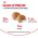 Royal Canin Breed dog Cocker Adult / Сухой корм Роял Канин для взрослых собак породы Кокер Спаниель старше 1 года