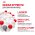Royal Canin Mini Adult / Сухой корм Роял Канин Мини Эдалт для взрослых собак Мелких пород в возрасте от 10 месяцев до 8 лет