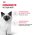 Royal Canin Kitten / Мультипак 10 штук Влажный корм (Консервы-Паучи) Роял Канин Киттен для Котят в возрасте от 4 до 12 месяцев в Соусе и в Желе (цена за упаковку)