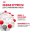 Royal Canin Kitten / Мультипак 10 штук Влажный корм (Консервы-Паучи) Роял Канин Киттен для Котят в возрасте от 4 до 12 месяцев в Соусе и в Желе (цена за упаковку)