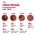 Royal Canin Kitten / Мультипак 10 штук Влажный корм (Консервы-Паучи) Роял Канин Киттен для Котят в возрасте от 4 до 12 месяцев в Соусе и в Желе (цена за упаковку)