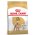 Royal Canin Breed dog Poodle Adult / Сухой корм Роял Канин для взрослых собак породы Пудель старше 10 месяцев