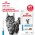 Royal Canin Skin & Coat / Ветеринарный влажный корм (Консервы-Паучи) Роял Канин Скин энд Коат для Кастрированных котов и Стерилизованных кошек с Чувствительной кожей (цена за упаковку)