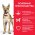 Hills Science Plan Performance Adult / Сухой корм Хиллс для Активных собак Высококалорийный Курица Hills Science Plan Performance Adult / Сухой корм Хиллс для Активных собак Высококалорийный Курица