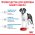 Royal Canin Giant Junior / Сухой корм Роял Канин Джайнт Юниор для Щенков Гигантских пород в возрасте от 8 месяцев до 2 лет Royal Canin Giant Junior / Сухой корм Роял Канин Джайнт Юниор для Щенков Гигантских пород в возрасте от 8 месяцев до 2 лет