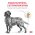 Royal Canin Urinary S/O LP18 / Ветеринарный сухой корм Роял Канин Уринари для собак Мочекаменная болезнь (струвиты, оксалаты) Royal Canin Urinary S/O LP18 / Ветеринарный сухой корм Роял Канин Уринари для собак Мочекаменная болезнь (струвиты, оксалаты)