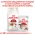 Royal Canin Fit / Сухой корм Роял Канин Фит для Взрослых кошек в возрасте от 1 года до 7 лет Royal Canin Fit / Сухой корм Роял Канин Фит для Взрослых кошек в возрасте от 1 года до 7 лет