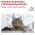 Royal Canin Gastrointestinal Moderate Calorie / Ветеринарный влажный корм (Консервы-Паучи) Роял Канин Гастроинтестинал Модерэйт Калори для кошек Нарушения пищеварения Низкокалорийный (цена за упаковку)