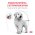 Royal Canin Gastrointestinal Puppy / Ветеринарный сухой корм Роял Канин Гастроинтестинал для Щенков при нарушении Пищеварения Royal Canin Gastrointestinal Puppy / Ветеринарный сухой корм Роял Канин Гастроинтестинал для Щенков при нарушении Пищеварения