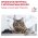 Royal Canin Satiety Weight Management SAT34 / Ветеринарный влажный корм (Консервы-Паучи) Роял Канин Сетаети Вейт Менеджмент для кошек Контроль избыточного веса