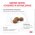 Royal Canin Gastrointestinal Hairball / Ветеринарный сухой корм Роял Канин Гастроинтестинал Хэйрбол для кошек Нарушения пищеварения Вывод волосяных комочков