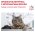 Royal Canin Early Renal / Ветеринарный сухой корм Роял Канин Ерли Ренал для кошек Поддержание функции почек (хроническая почечная недостаточность на ранних стадиях)
