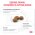 Royal Canin Gastrointerstinal Low Fat Small Dog / Ветеринарный сухой корм Роял Канин Гастроинтестинал Лоу Фэт Смол Дог для собак Мелких пород при нарушении Пищеварения Низкокалорийный