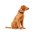 Hunter Hilo Vario Basic / Ошейник Хантер для собак сетчатый текстиль Красный Hunter Hilo Vario Basic / Ошейник Хантер для собак сетчатый текстиль Красный