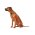 Hunter Hilo Vario Basic / Ошейник Хантер для собак сетчатый текстиль Лайм Hunter Hilo Vario Basic / Ошейник Хантер для собак сетчатый текстиль Лайм