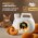 Iv San Bernard Just for cats Apricot / Шампунь Ив Сан Бернард для кошек для короткой и средней шерсти Iv San Bernard Just for cats Apricot / Шампунь Ив Сан Бернард для кошек для короткой и средней шерсти