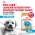 Royal Canin Breed dog Labrador Retriever Puppy / Сухой корм Роял Канин для Щенков породы Лабрадор в возрасте до 15 месяцев