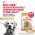 Royal Canin Breed dog Golden Retriever Adult / Сухой корм Роял Канин для взрослых собак породы Голден Ретривер старше 15 месяцев