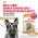 Royal Canin Breed dog German Shepherd Adult / Сухой корм Роял Канин для взрослых собак породы Немецкая Овчарка старше 15 месяцев