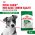 Royal Canin Mini Adult / Сухой корм Роял Канин Мини Эдалт для взрослых собак Мелких пород в возрасте от 10 месяцев до 8 лет