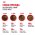 Royal Canin Breed dog Cocker Adult / Сухой корм Роял Канин для взрослых собак породы Кокер Спаниель старше 1 года Royal Canin Breed dog Cocker Adult / Сухой корм Роял Канин для взрослых собак породы Кокер Спаниель старше 1 года