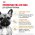 Royal Canin Breed dog French Bulldog Adult / Сухой корм Роял Канин для взрослых собак породы Французский Бульдог старше 1 года